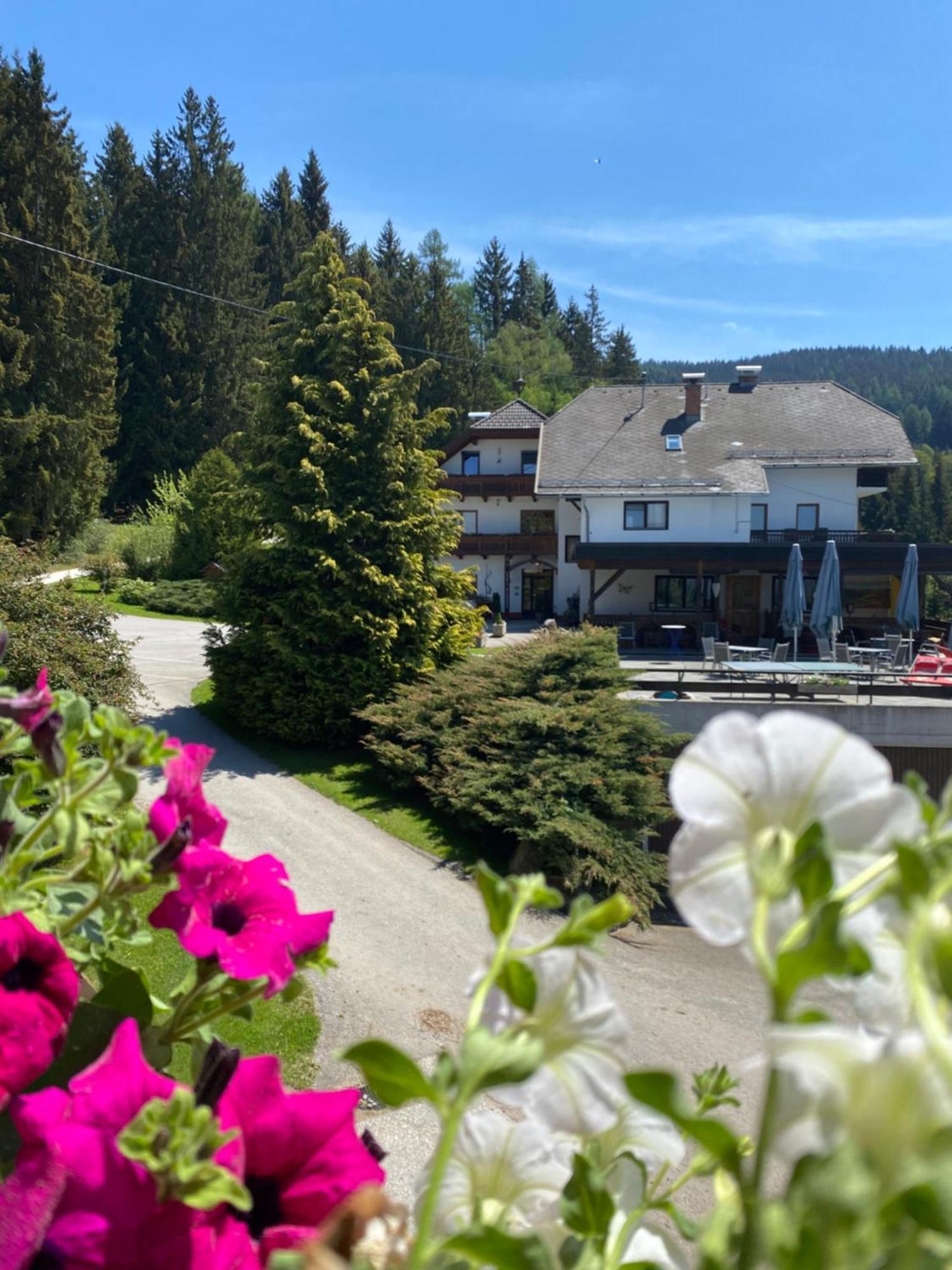 Forellenwirt Bacher Kirchberg  Экстерьер фото